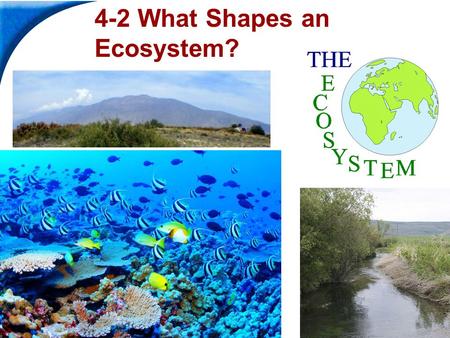 End Show Slide 1 of 39 Copyright Pearson Prentice Hall 4-2 What Shapes an Ecosystem?