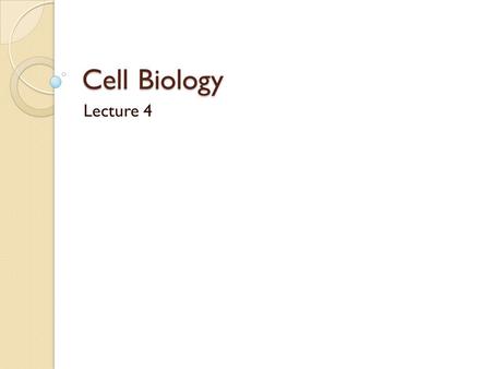 Cell Biology Lecture 4. Plasma Membrane Transport Permeable Slightly permeable Impermeable.