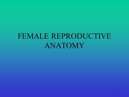 FEMALE REPRODUCTIVE ANATOMY