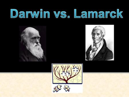 1  English naturalist  Father of Evolution  (Theory of evolution by natural selection  (“Theory” doesn’t mean “guess”) ▪ Theories have MOUNTAINS.