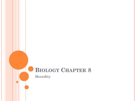 B IOLOGY C HAPTER 8 Heredity. 8.1 O BJECTIVES Discuss Mendel’s experiments and his results. Explain the three principles of genetics Mendel obtained through.