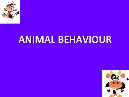 ANIMAL BEHAVIOUR.