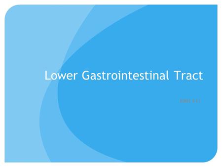 Lower Gastrointestinal Tract KNH 411. © 2007 Thomson - Wadsworth.