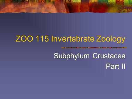 ZOO 115 Invertebrate Zoology