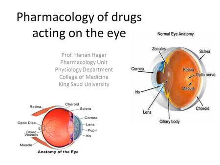 Pharmacology of drugs acting on the eye