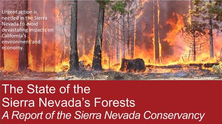 Urgent action is needed in the Sierra Nevada to avoid devastating impacts on California's environment and economy. The State of the Sierra Nevada’s Forests.