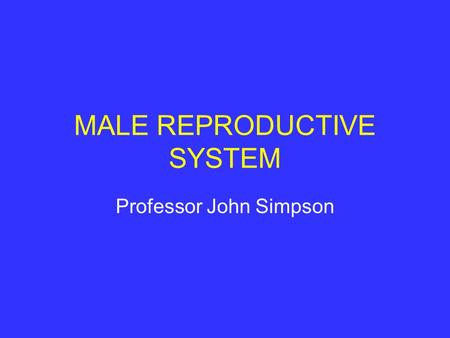 MALE REPRODUCTIVE SYSTEM