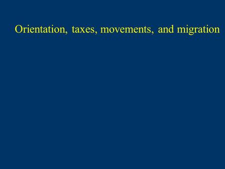 Orientation, taxes, movements, and migration. phototaxis (light) geotaxis (gravity) chemotaxis - toward food, conspecifics, mates, offspring - away from.