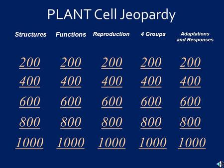 Adaptations and Responses