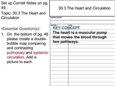 30.3 The Heart and Circulation