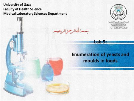 Lab 5: Enumeration of yeasts and moulds in foods