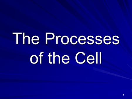 The Processes of the Cell