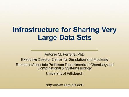 Infrastructure for Sharing Very Large Data Sets  Antonio M. Ferreira, PhD Executive Director, Center for Simulation and Modeling.