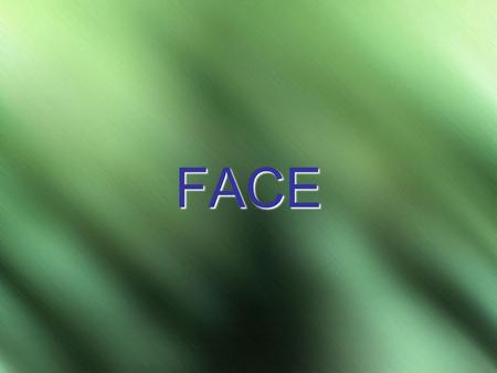 FACE.