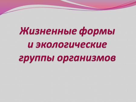 Жизненные формы и экологические группы организмов