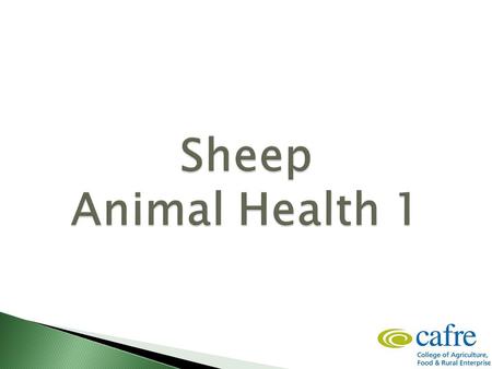 Good stockmanship and early detection of sick animals is vitally important in reducing mortality rates. Signs of ill healthSigns of good health Not eating/