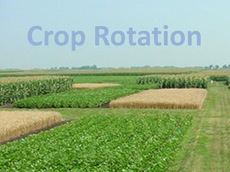 Crop Rotation.