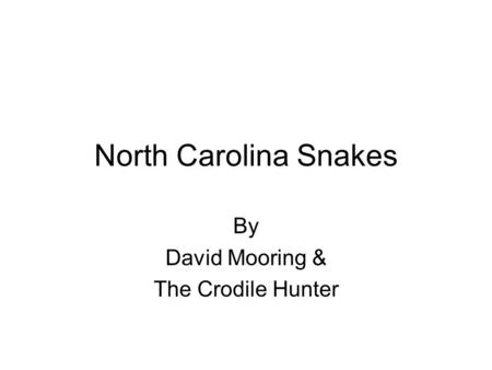 By David Mooring & The Crodile Hunter