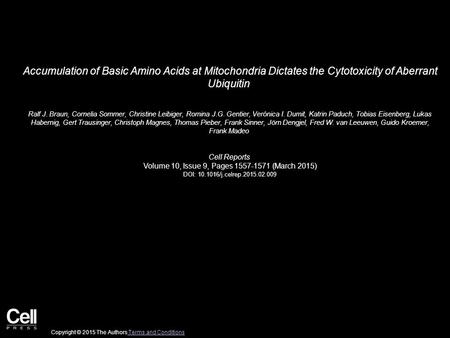 Accumulation of Basic Amino Acids at Mitochondria Dictates the Cytotoxicity of Aberrant Ubiquitin Ralf J. Braun, Cornelia Sommer, Christine Leibiger, Romina.