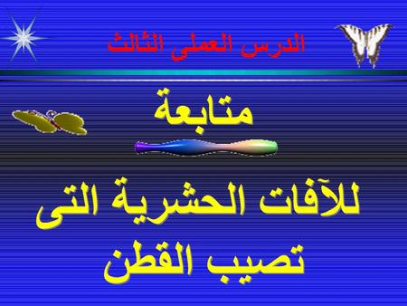 للآفات الحشرية التى تصيب القطن