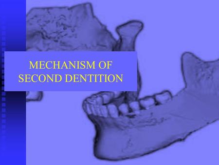 MECHANISM OF SECOND DENTITION