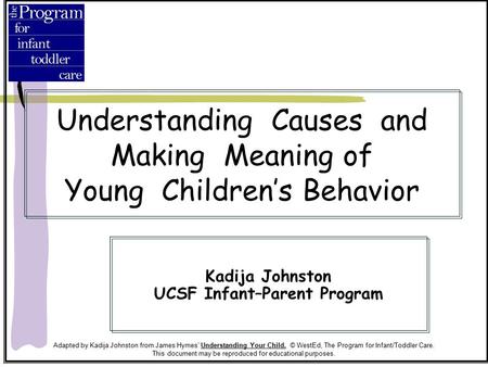 Understanding Causes and Making Meaning of Young Children’s Behavior