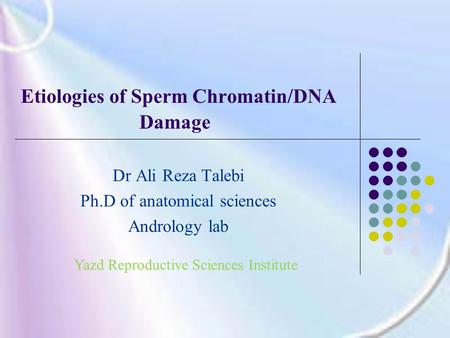 Etiologies of Sperm Chromatin/DNA Damage Dr Ali Reza Talebi Ph.D of anatomical sciences Andrology lab.