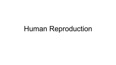 Human Reproduction. pubic bone urinary bladder ureter rectum seminal vesicle prostate gland bulbourethral gland vas deferens epididymis testis scrotum.