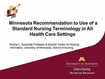 Minnesota Recommendation to Use of a Standard Nursing Terminology in All Health Care Settings Bonnie L. Associate Professor & Director Center for Nursing.