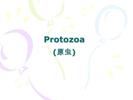 Protozoa (原虫).