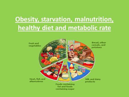 Obesity, starvation, malnutrition, healthy diet and metabolic rate