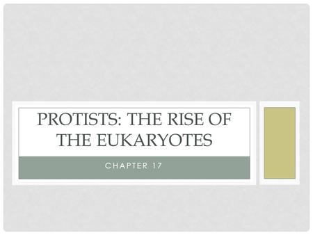 CHAPTER 17 PROTISTS: THE RISE OF THE EUKARYOTES. ORIGIN OF EUKARYOTIC CELLS Eukaryotic cells appeared first around 1.7 billion years ago. Eukaryotic cells.