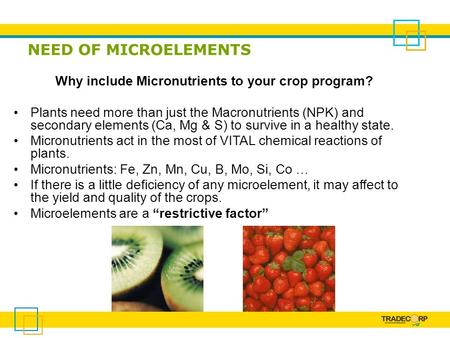 Why include Micronutrients to your crop program?