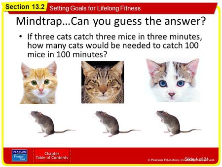 Mindtrap…Can you guess the answer?