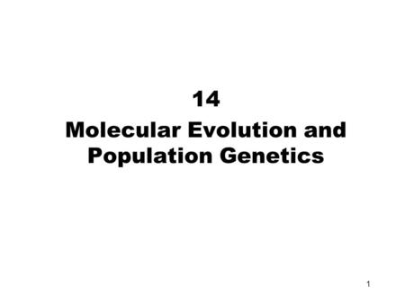 14 Molecular Evolution and Population Genetics