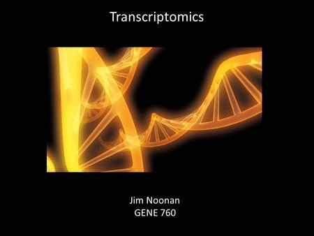 Transcriptomics Jim Noonan GENE 760.