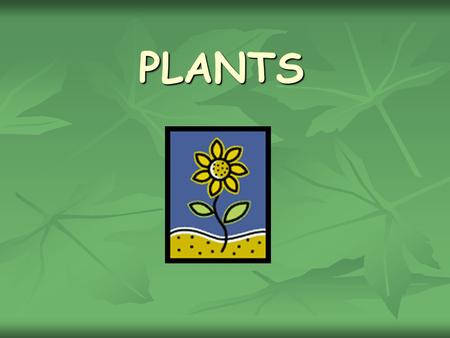 PLANTS.