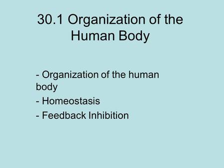 30.1 Organization of the Human Body