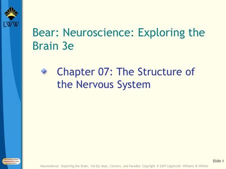 Slide 1 Neuroscience: Exploring the Brain, 3rd Ed, Bear, Connors, and Paradiso Copyright © 2007 Lippincott Williams & Wilkins Bear: Neuroscience: Exploring.