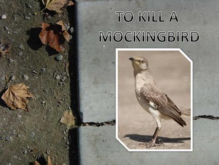  RACISM  SYMPATHY  GROWING UP/MORAL EDUCATION  MOCKINGBIRD AS A SYMBOL  RACISM  SYMPATHY  GROWING UP/MORAL EDUCATION  MOCKINGBIRD AS A SYMBOL.