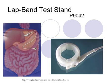 Lap-Band Test Stand P9042