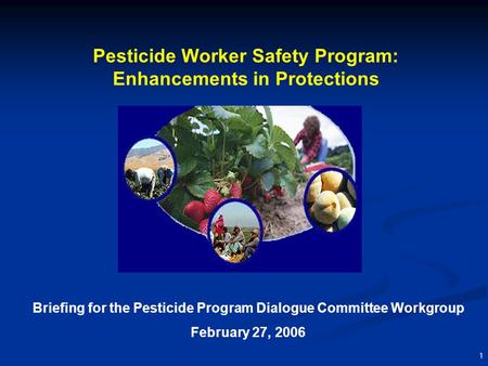 1 Pesticide Worker Safety Program: Enhancements in Protections Briefing for the Pesticide Program Dialogue Committee Workgroup February 27, 2006.