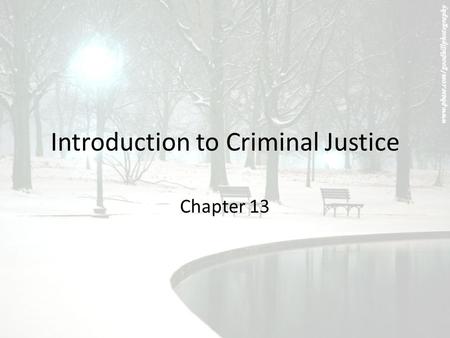 Introduction to Criminal Justice