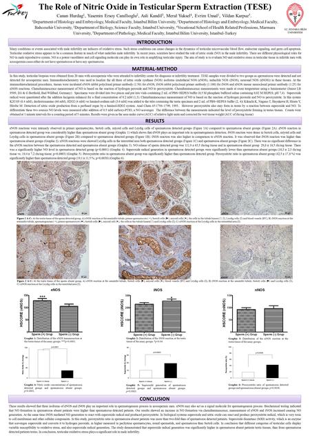 The Role of Nitric Oxide in Testicular Sperm Extraction (TESE) Canan Hurdag 1, Yasemin Ersoy Canıllıoglu 2, Asli Kandil 3, Meral Yuksel 4, Evrim Unsal.