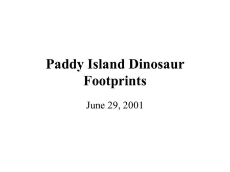 Paddy Island Dinosaur Footprints June 29, 2001. Tides and Weather Permitting…