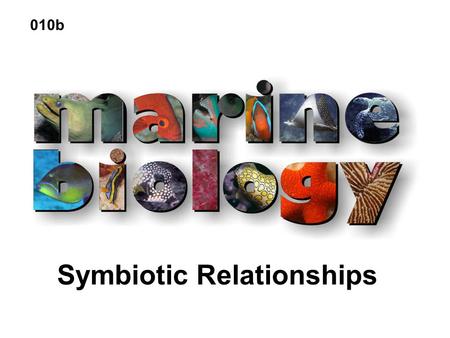 Symbiotic Relationships