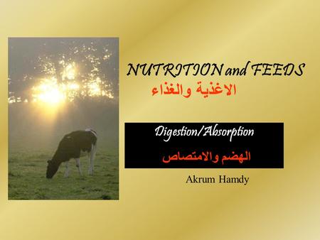 NUTRITION and FEEDS الاغذية والغذاء Digestion/Absorption الهضم والامتصاص Akrum Hamdy.