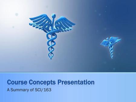 A Summary of SCI/163. Mental Health  Low cost counseling  Mediation, prayer or nap times at work  Conflict resolution assistance  Psychology workshops.