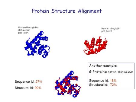 Protein Structure Alignment Human Myoglobin pdb:2mm1 Human Hemoglobin alpha-chain pdb:1jebA Sequence id: 27% Structural id: 90% Another example: G-Proteins: