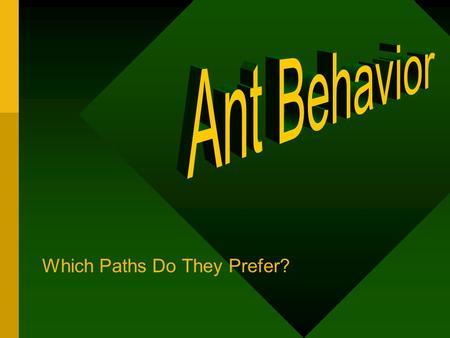 Which Paths Do They Prefer? Ant Bridges: Laura Broseke Elizabeth Gerber Taryn Nye Sai Yan Chu.